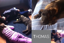 U novom domu Thomas je centar pažnje, glavna faca, "the one" - i u tome u potpunosti uživa :)